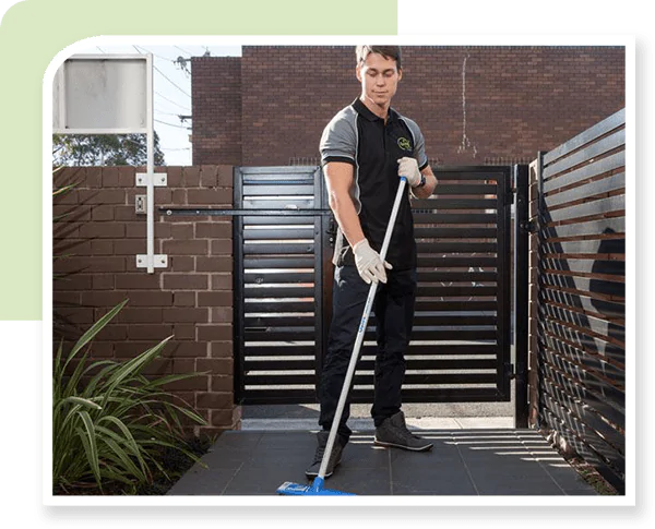 disability cleaning