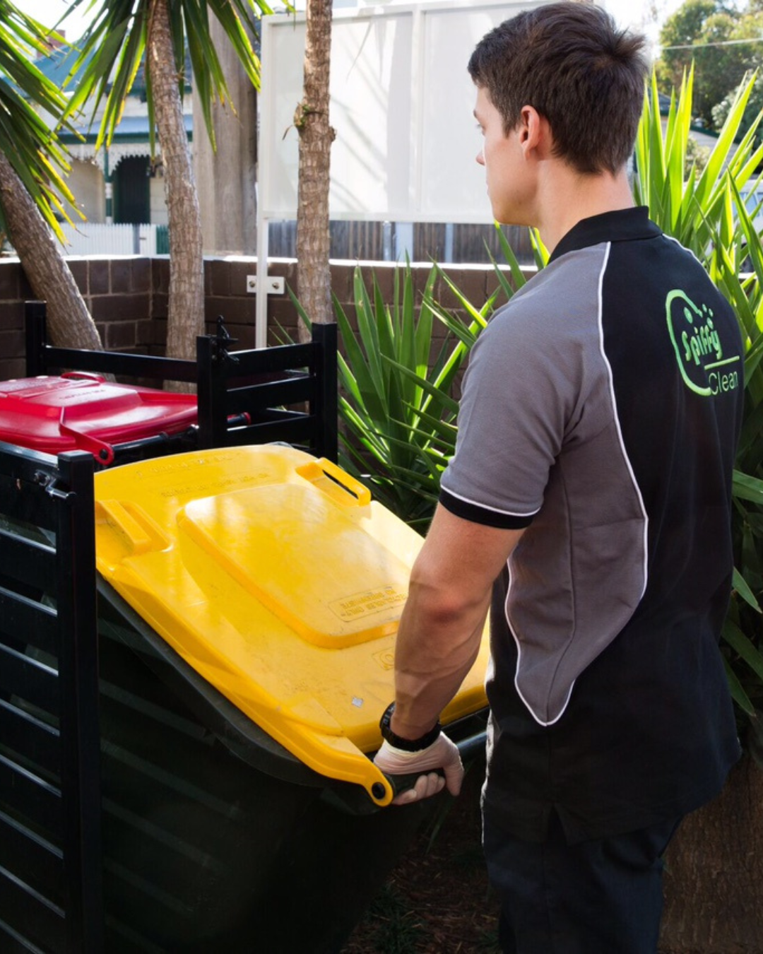 Body Corporate and Strata Cleaning, Spiffy cleans